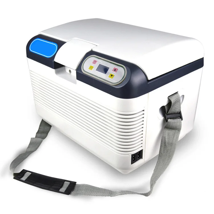 2024 новый дизайн 12 л двойной Холодильный маленький холодный теплый ящик для домашнего использования полупроводниковый Автомобильный электронный холодильник