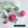 #2 rosa rosso
