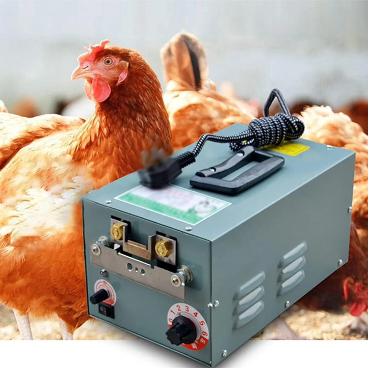 Cône De Contention En Acier Galvanisé Pour Volaille (poulets) - Taille Moyenne, Pour Abattage Humain