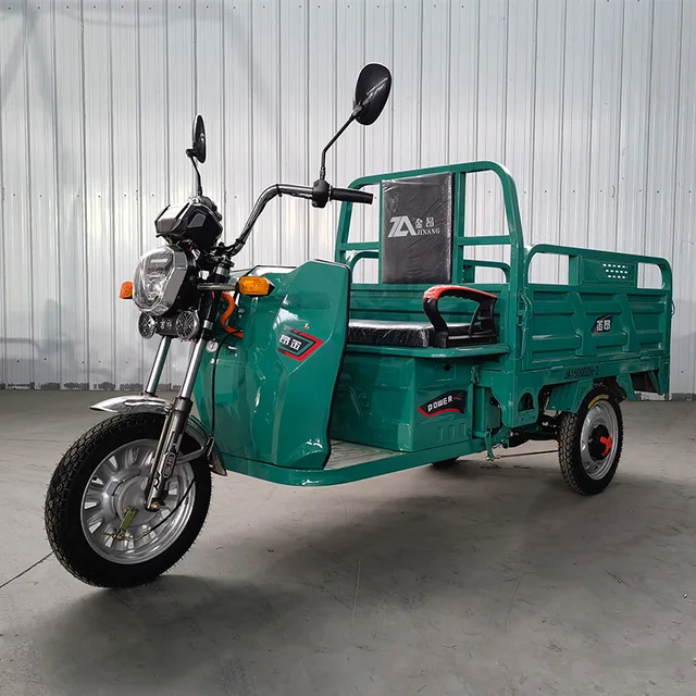 Freight transport electric tricycle for 2 person differential for tricycle electric tricycle for disabled