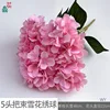 Hortensia copo de nieve de 5 cabezas WY Pink