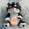 Gato entrecerrando los ojos
