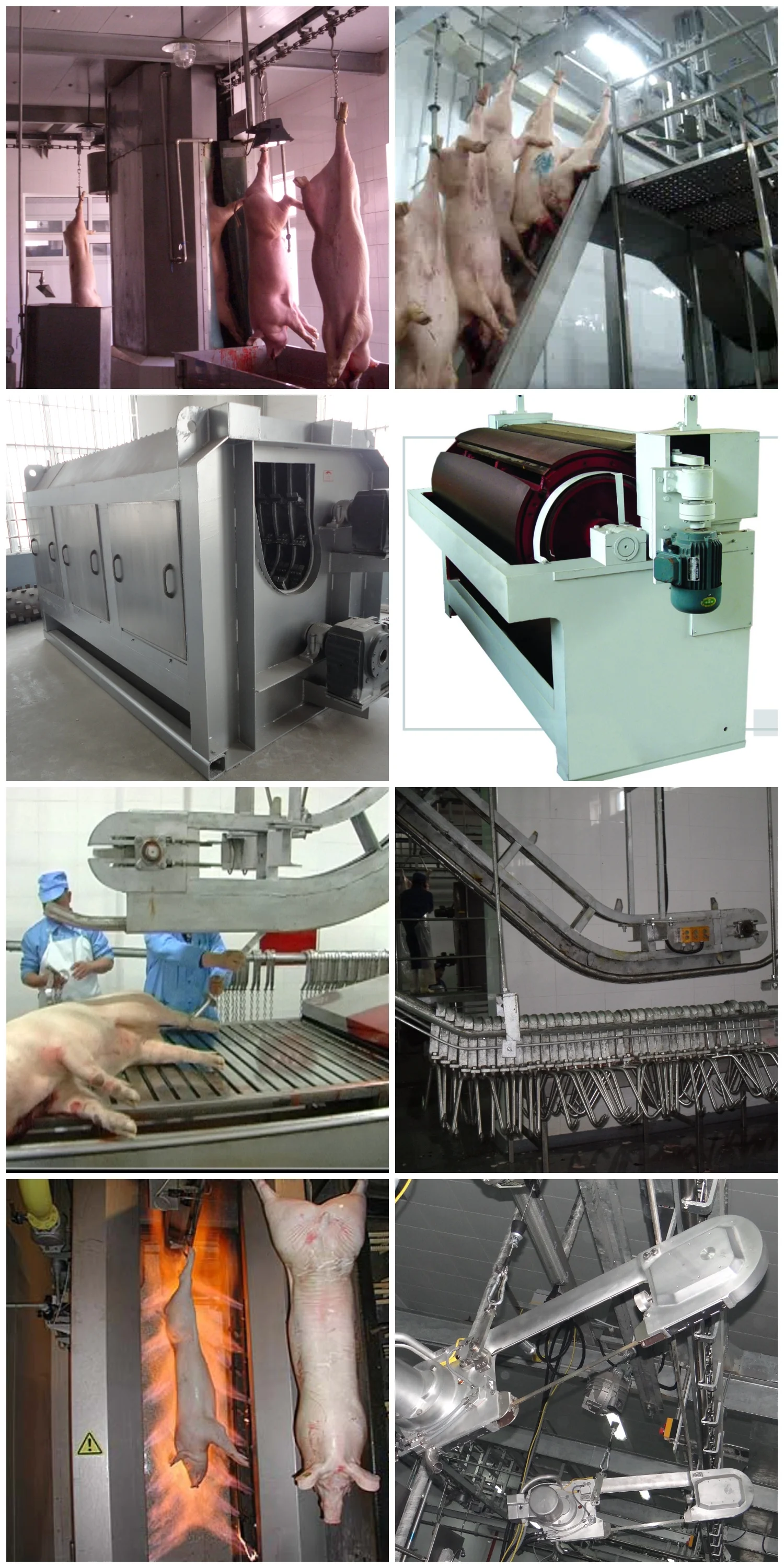 Complete factory-grade swine slaughtering equipment for efficient swine slaughterhouse operations