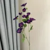 Violet foncé