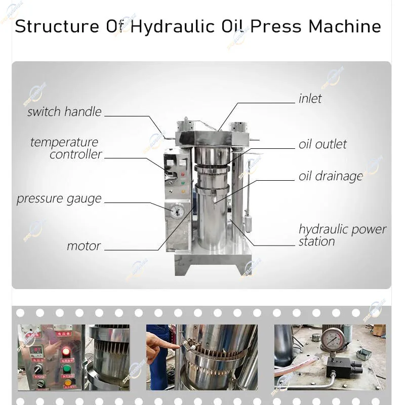 Manufacturer Factory Price Small Mini Extractor Cocoa Cacao Bean Butter Hydraulic Fat Oil Press Extraction Machine