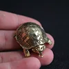 Bell Turtle