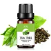 tea tree