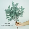 Cypress Leaves - Grey