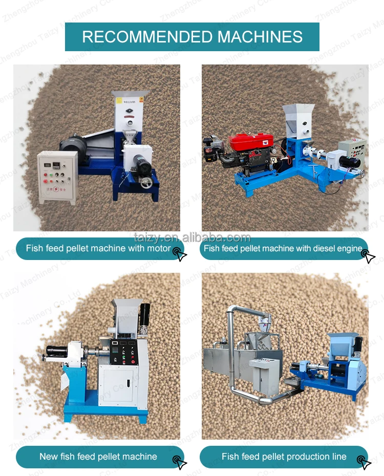 Dgp40 Small Floating Fish Feed Pellet Making Machine With Diesel