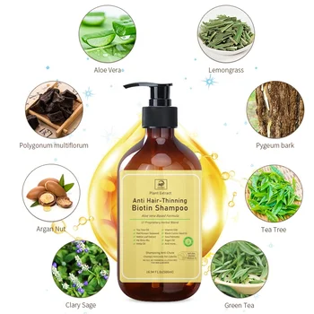 Reduce Hair Loss Product Private Label Guangzhou Factory Manufacturer Wholesale Organic Herbal Hair Care Anti Hair Loss Shampoo