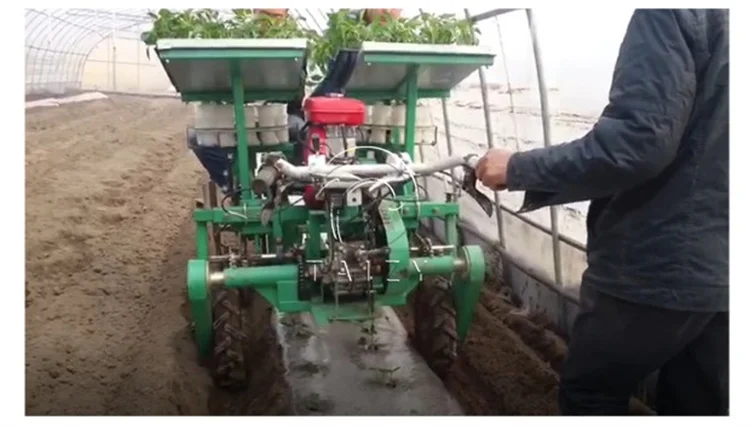 Hot Sale Vegetable Transplanter Tobacco Planting Machine for Tractor