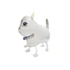 Gatto bianco che cammina