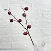 7-headed bell fruit, red