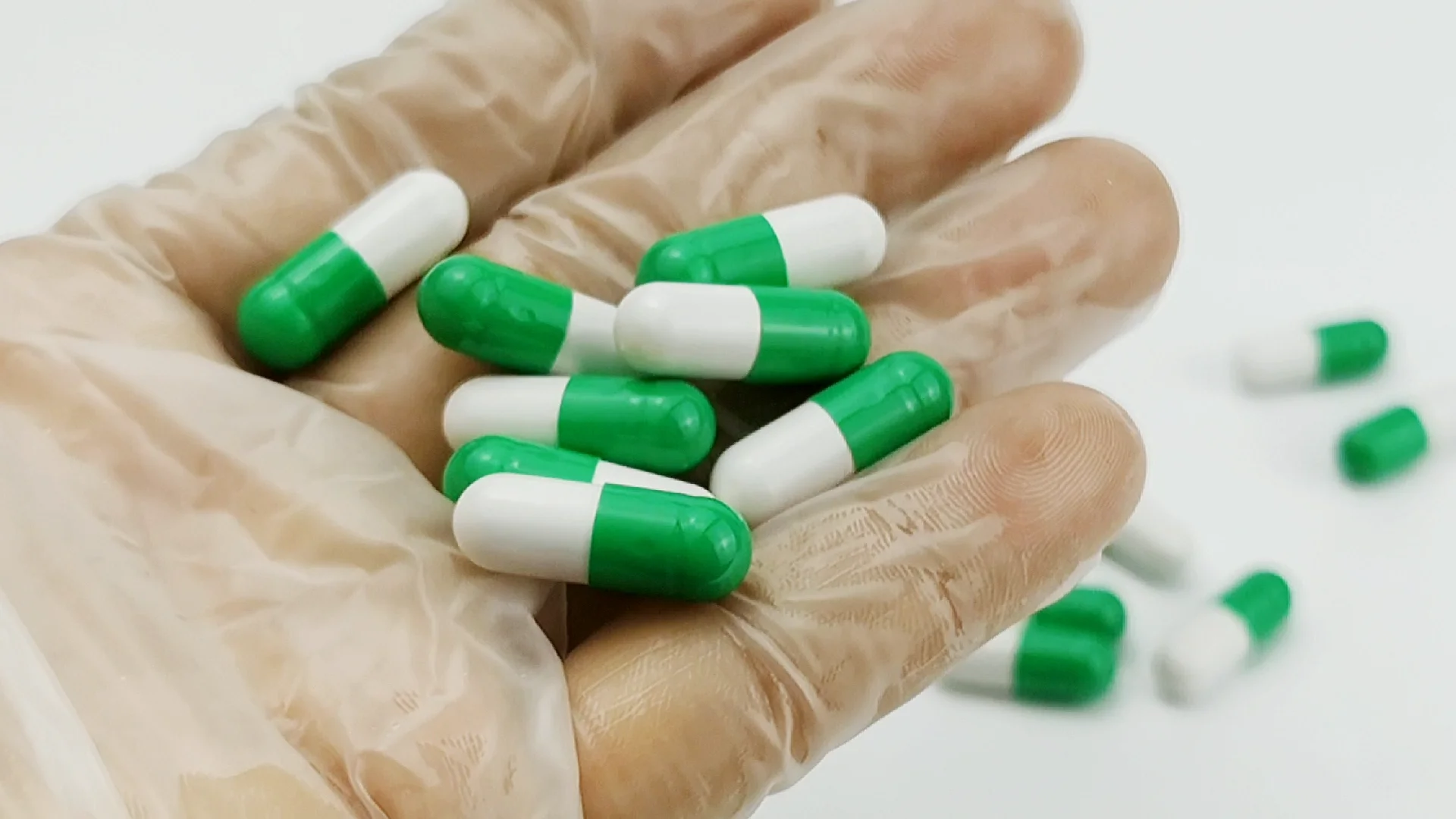Snaketrap Fat Pills