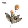 A018