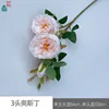 3 cabezas de Austin YWJ Pink Champagne