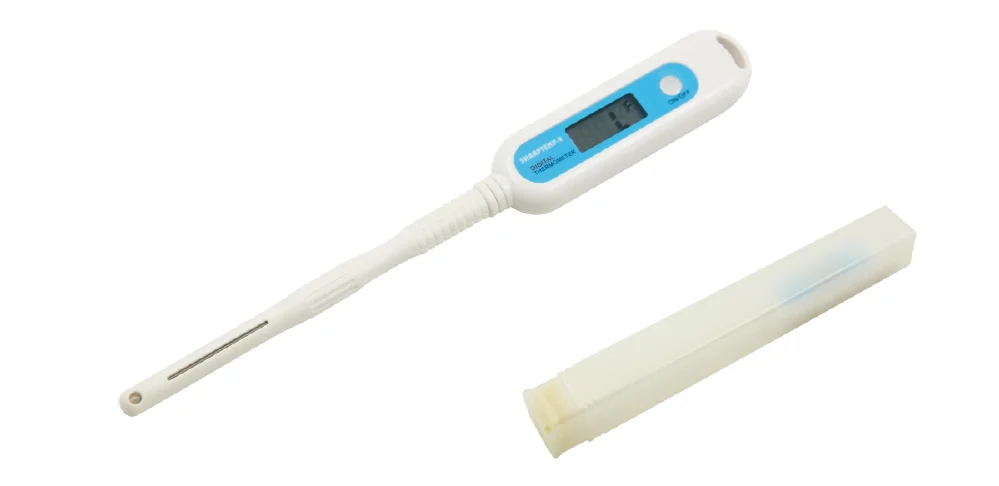 Cotran Large Digital Thermometer