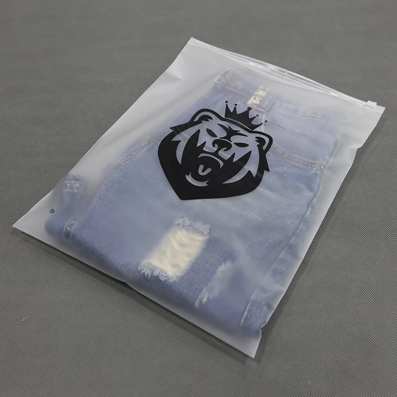 Custom Logo Printing Slide Matte Frosted Biodegradable Zipper Plastic Bag Clear Clothing T shirty Zip Bag With Own Logo Pol H9d064d3cbdec48a6957ddf8151aace42m