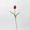 Capullo de tulipán rojo