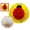 Coccinella