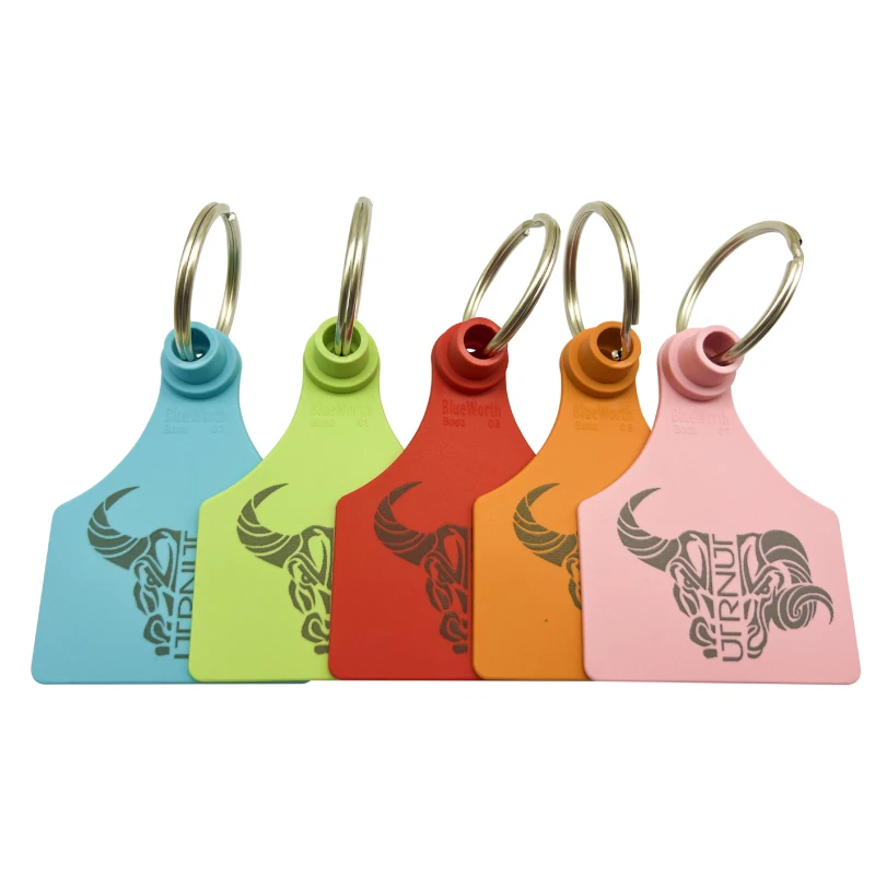 Ink Printed Tags with keyring  keychain tags female tag only 8 colors