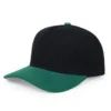 Vert et noir