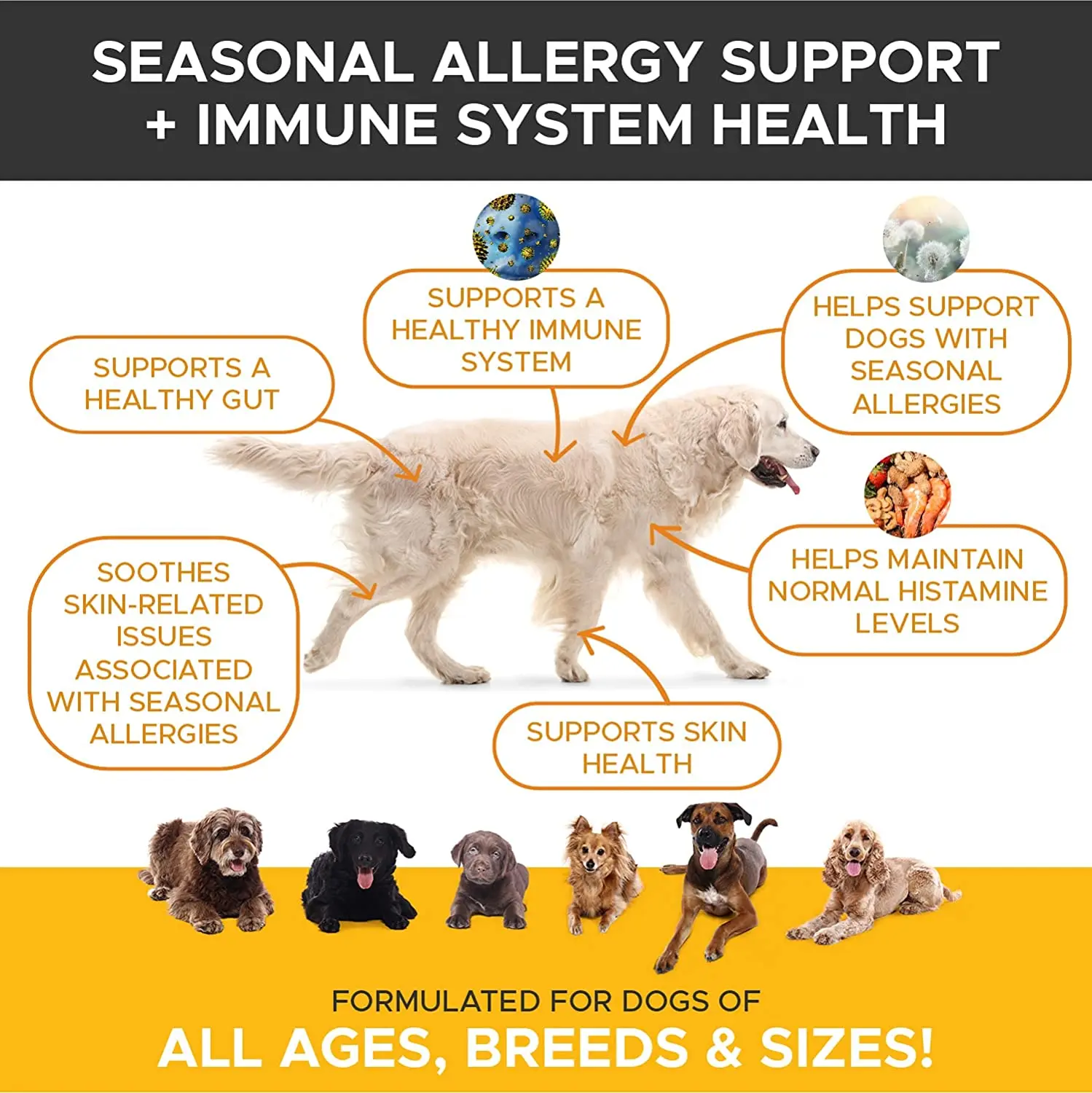 Жевательные соединения для собак | Поддержка косточек и суставов | Высокие уровни глюкозамина, Омега 3, куркумы, витаминов и минералов