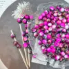 Rose fuchsia