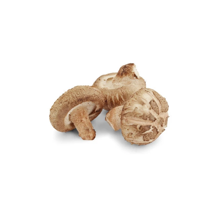 Traditional Crafts Wild Good Taste Brown Color Dried Shiitake Mushrooms 1kg Price For Daily Eating Food