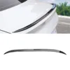 Gloss Black