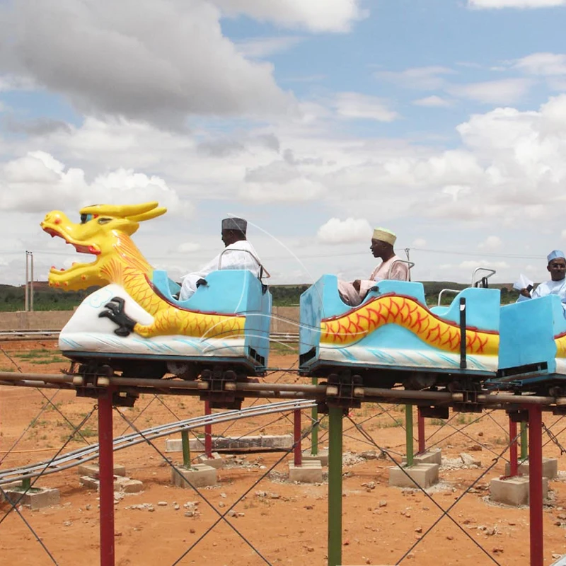 Lower Price Fairground Amusement Park Equipment Roller coaster Rides Dragon Roller coaster for Sale