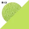 B13