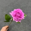 สีม่วง