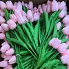 Rosa confetto