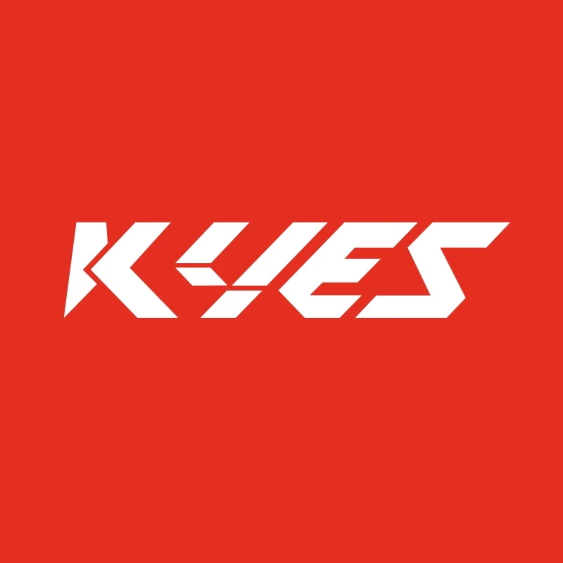 Kyesf Company Overview - Wuxi Kyes Trading Co., Ltd.