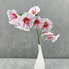 Bianco rosa