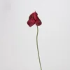 Petite paume d'amour (Big Red)