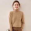 Camello elegante
