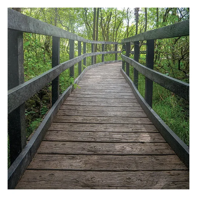 Износостойкая обувь; Нескользящая подошва; Водонепроницаемая зимняя обувь композиционный деревянный внешний настил Wpc террасная