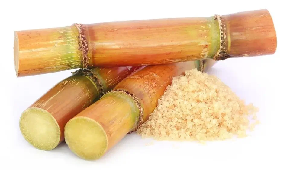 Commercial Sugarcane Juice Extractor Automatic Powerful Sugar Cane Juicer Machine