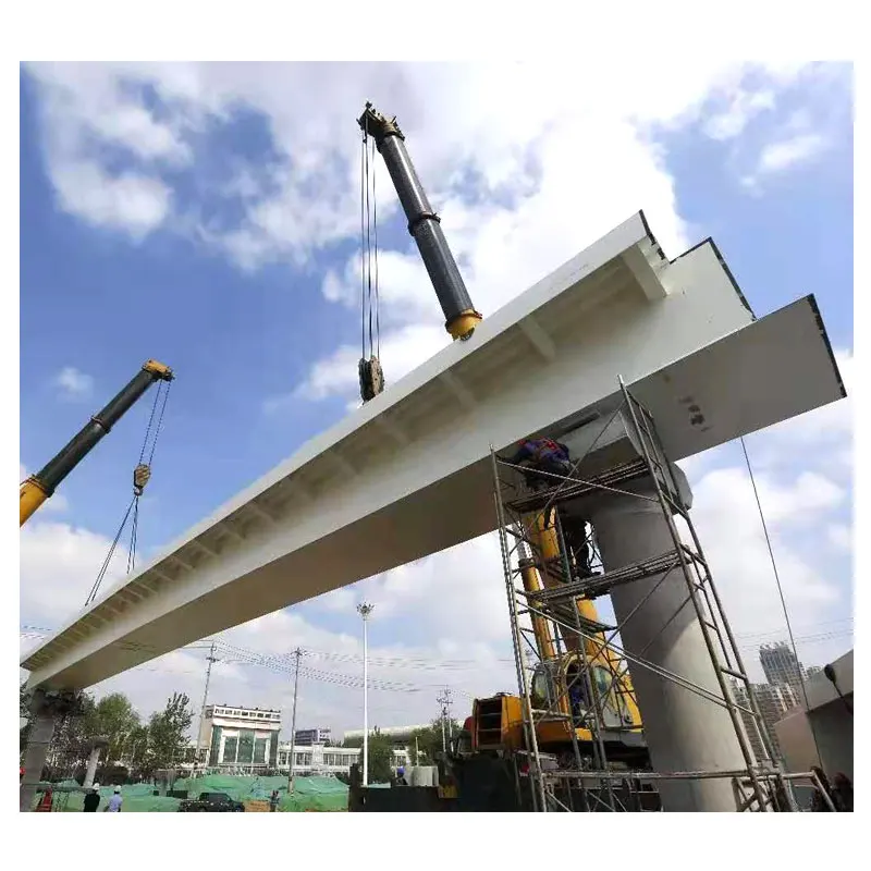 Low Carbon Steel Structures Prefab Bridge for Transportation Project