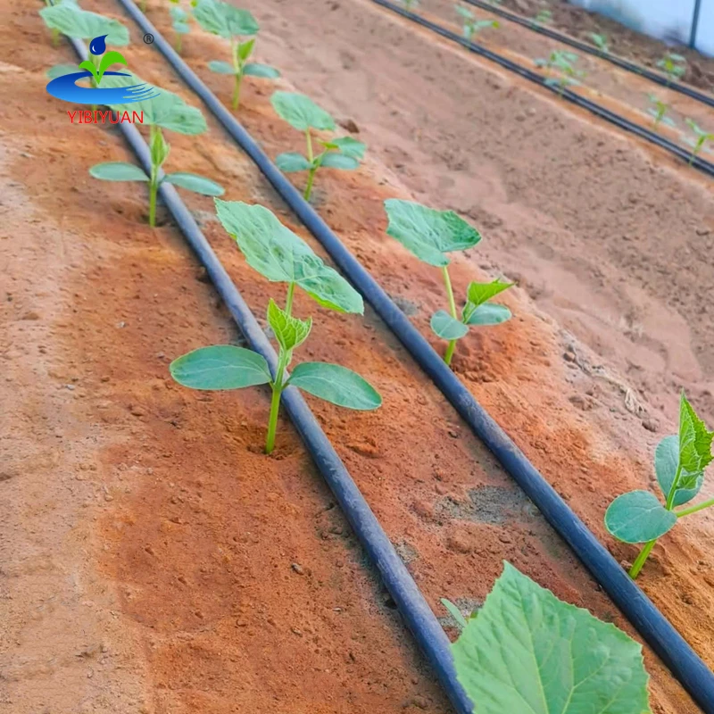 Drip Tape Irrigation System 16mm Cinta De Goteo Para Riego Agricola Hose 1 Hectare Drip Irrigation Kit