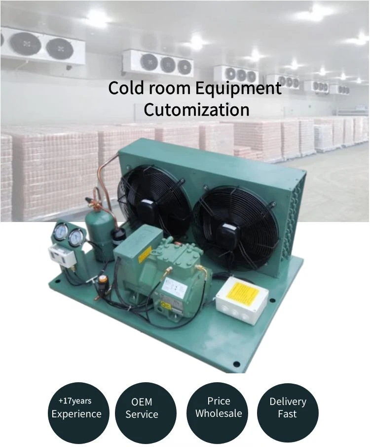 Freezer Refrigeration Compressor Unit Several Fast Cold Store ...