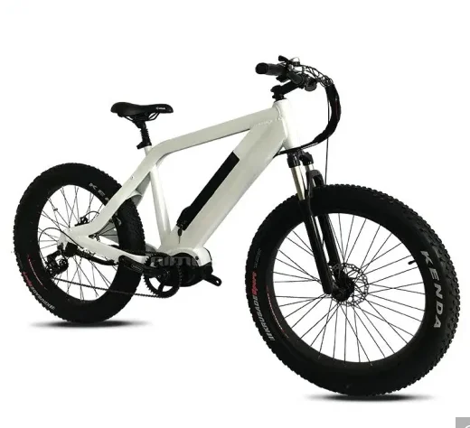 2020 nice electric mountain bike with lcd display manufactured