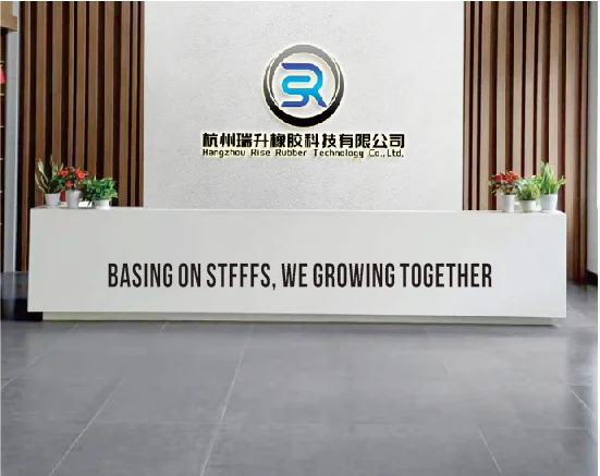 Hangzhou Rise Rubber Technology Co., Ltd.