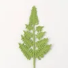 Snow five ferns-dark green