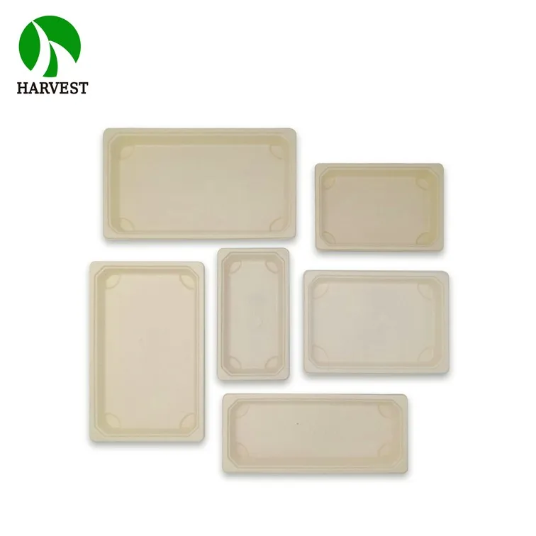 Eco Friendly Biodegradable Compostable Cake Sushi Packing Box Tray