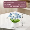Gradient blue forget-me-not potted plant
