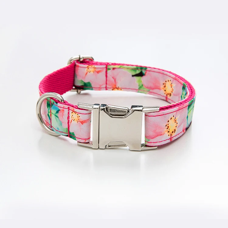 eco dog collar