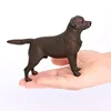 2268 Chien de Labrador